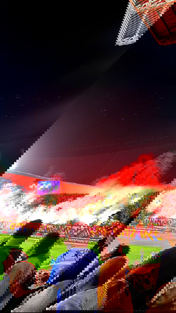 shir.davida6 shir.davida6 archive image