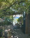libby_reut Altpins Profile Picture