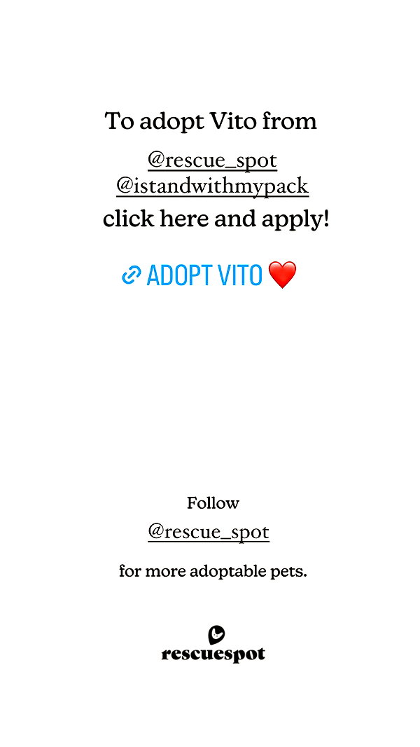 gabbyepstein archive image