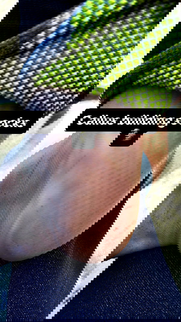 swholeanimal swholeanimal archive image