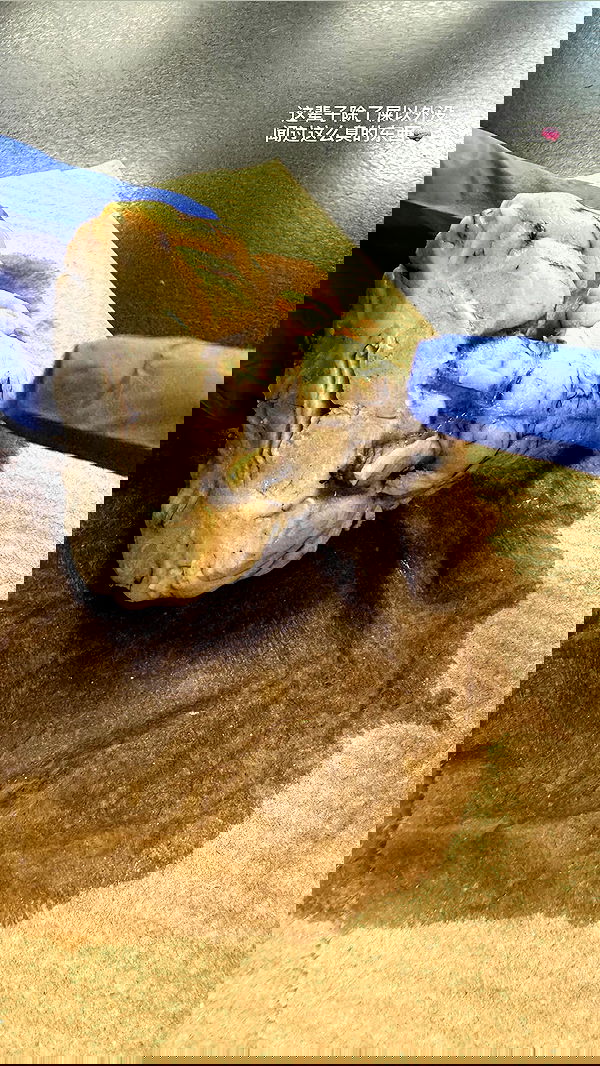 xuewei._.lxw xuewei._.lxw archive image