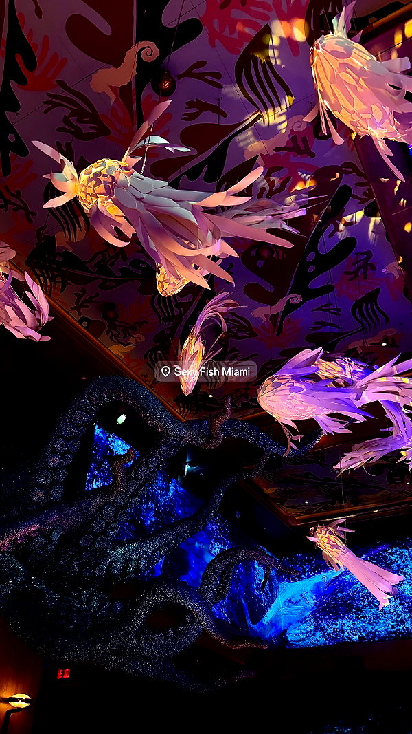 yuli.cohenn instagram image archive image