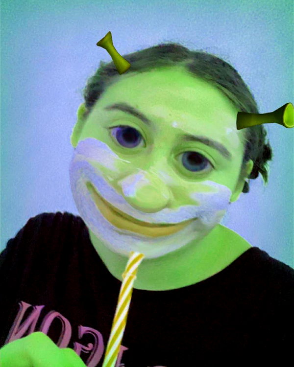 liliashaked instagram image archive image