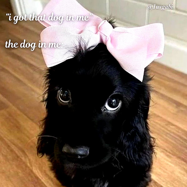 1uvgabi instagram image archive image