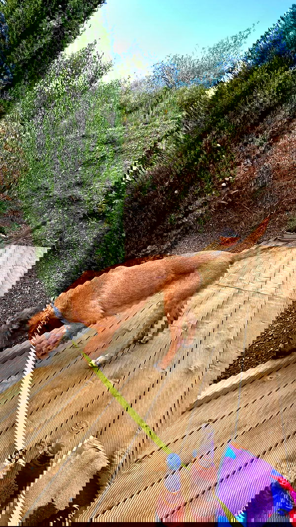 manjolamuriqi manjolamuriqi archive image