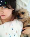 alexandradaddario Altpins Profile Picture