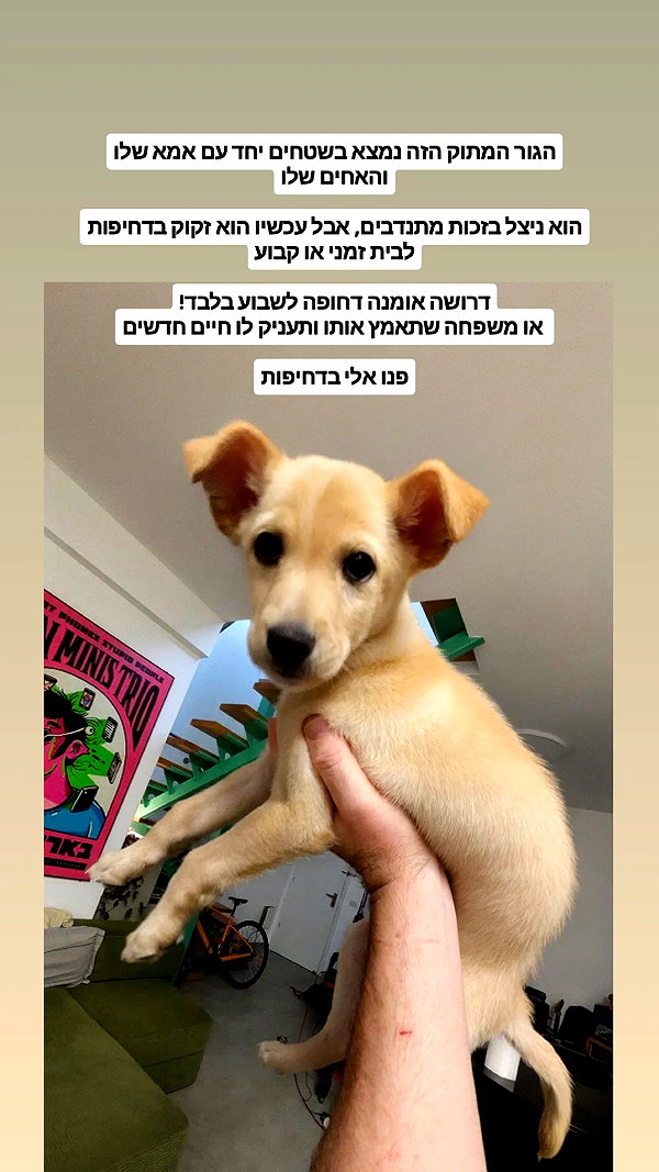 Archived image from @not.or.paz on Instagram