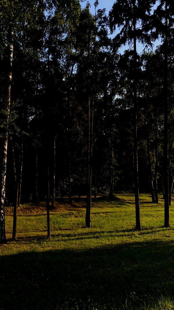veroni22ka veroni22ka archive image