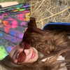 yaarat11 Altpins Profile Picture
