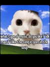 ellaexplicit_ Altpins Profile Picture