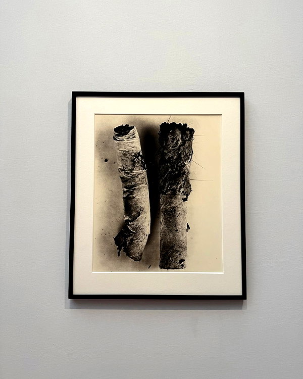 kelseydopegal instagram image archive image