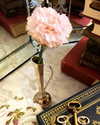 elizabethcampbelljones Altpins Profile Picture