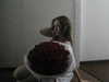 meiiisame Altpins Profile Picture