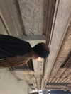 hhh.e_c.v Altpins Profile Picture