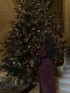 zoeliss Altpins Profile Picture