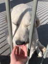 gisellelee8 Altpins Profile Picture