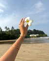 biancanataliie Altpins Profile Picture
