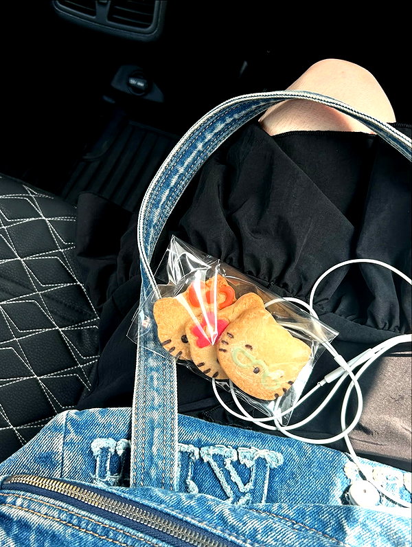 srillun archive image