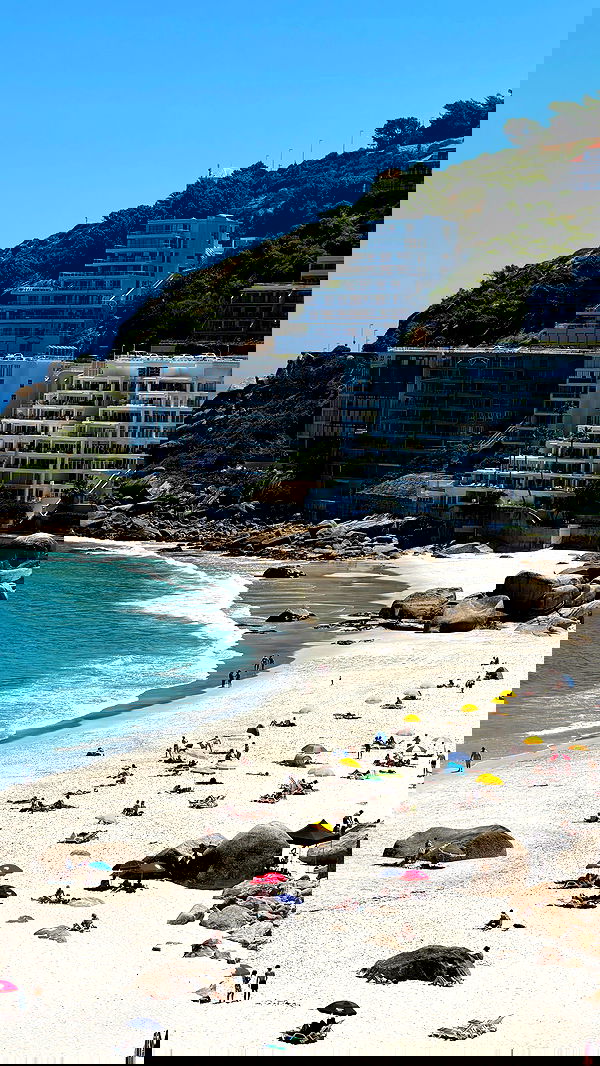 taylor.creeden taylor.creeden archive image