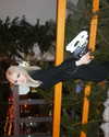 vik4au Altpins Profile Picture