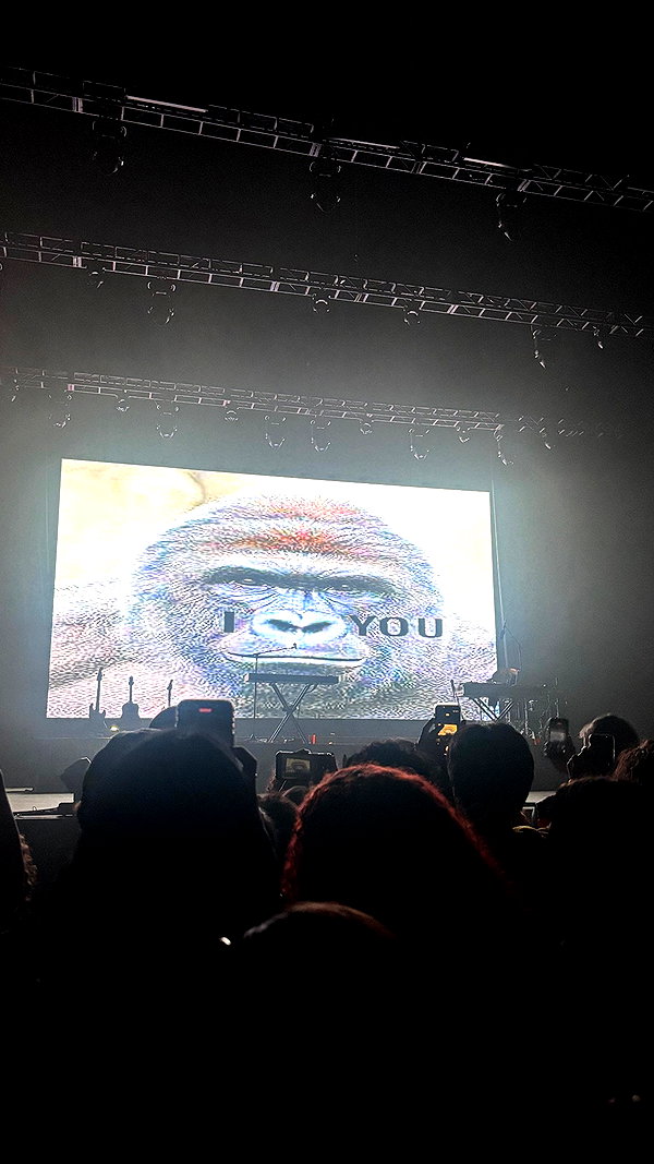 mosssaico instagram image archive image