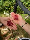 sophielaurenxxo Altpins Profile Picture