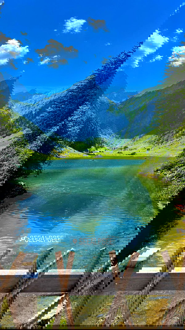 swfx_real swfx_real archive image