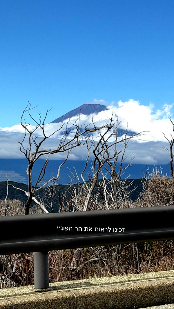 lir.noam instagram image archive image