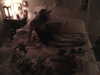 ash.onme Altpins Profile Picture
