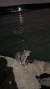 _eli1111 Altpins Profile Picture