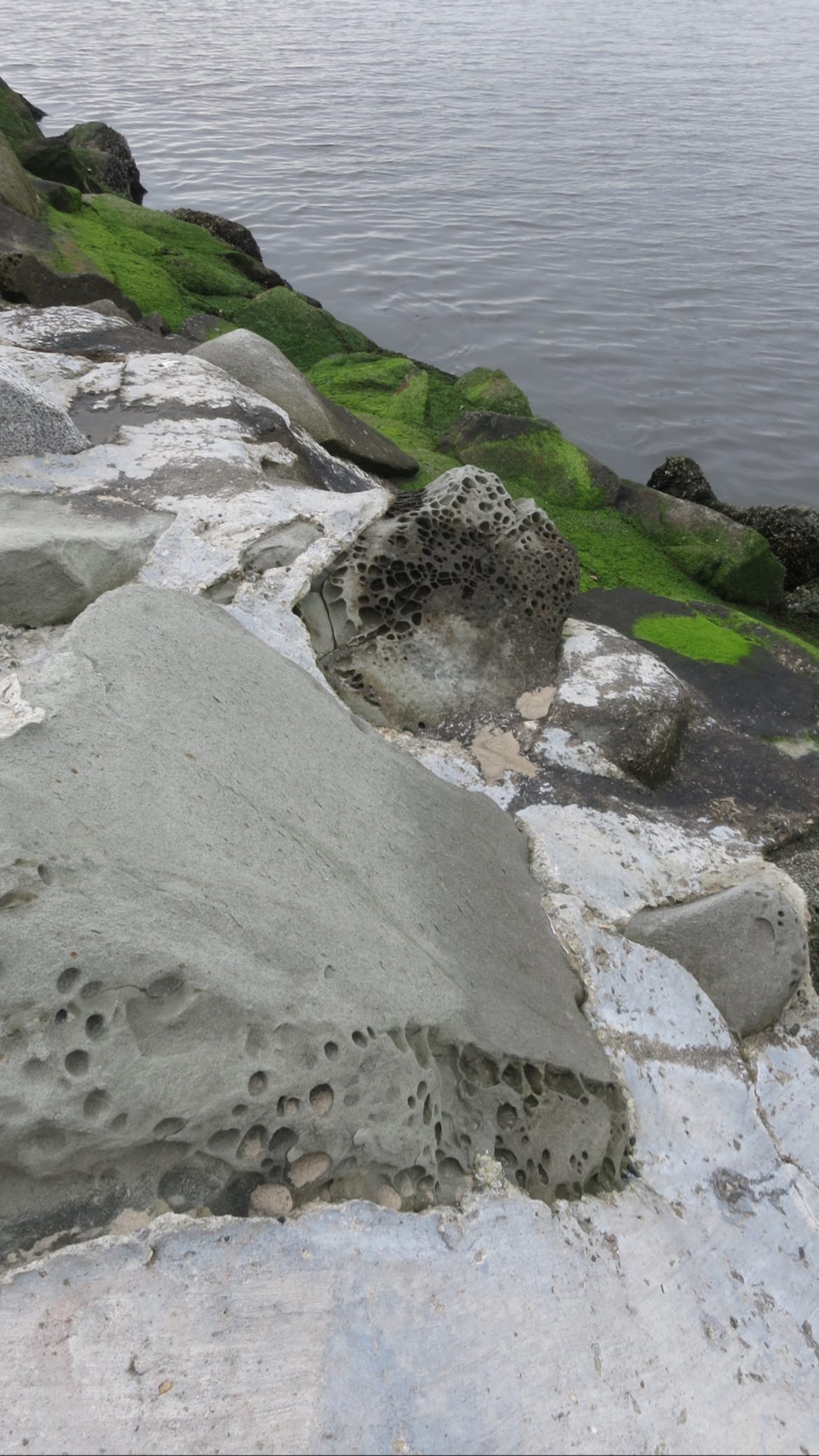 leonanaomii instagram image archive image