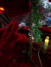 vasian_life Altpins Profile Picture