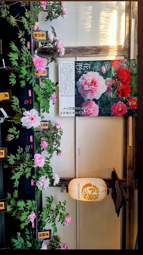 tamarli._ instagram image archive image