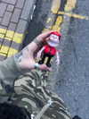 mollieruck Altpins Profile Picture
