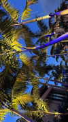 veroni22ka Altpins Profile Picture