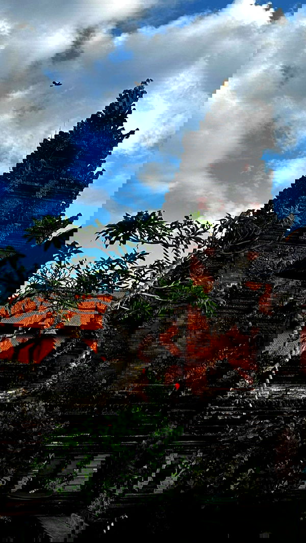 taylor.creeden taylor.creeden archive image