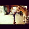 gigihadid Altpins Profile Picture