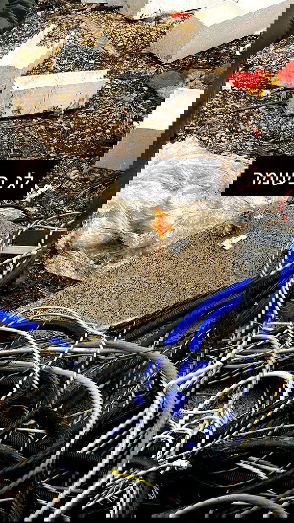 orya.xx orya.xx archive image