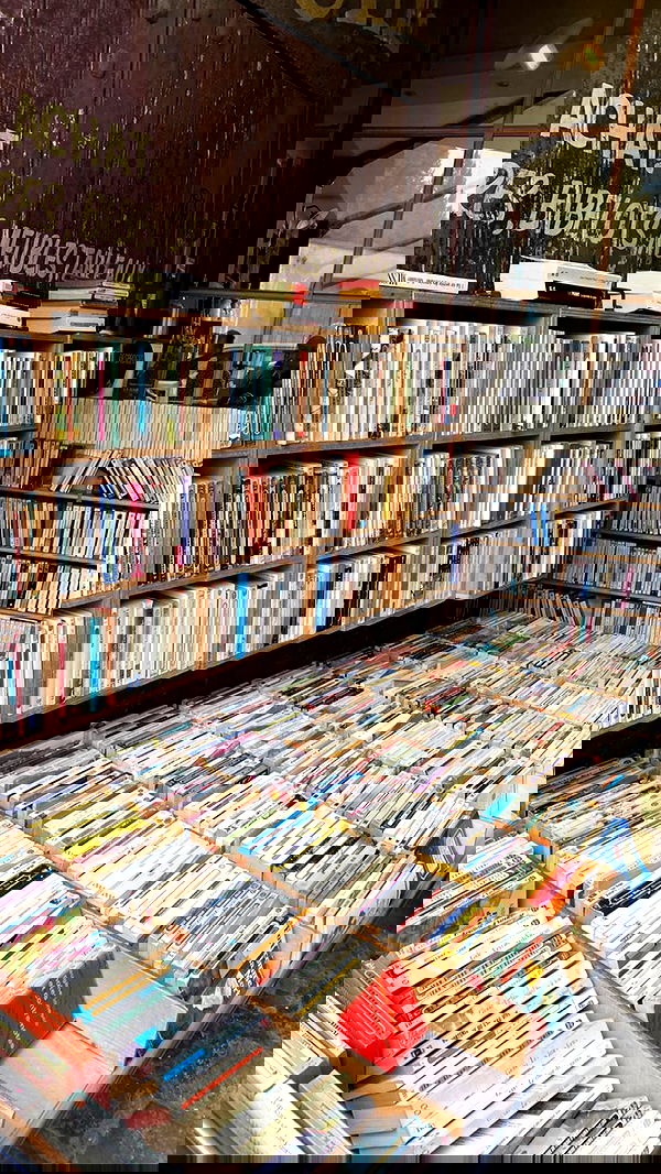 taylor.creeden taylor.creeden archive image