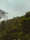 ronyida_ Altpins Profile Picture