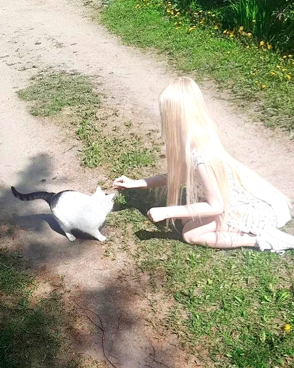 Archived image from @ssarnvd on Instagram