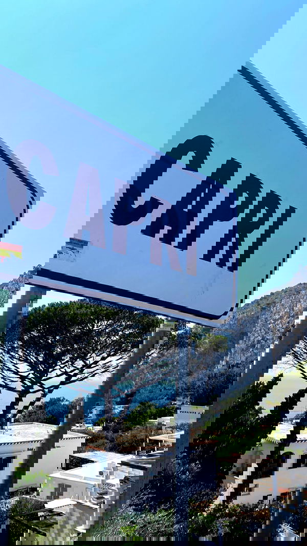 taylor.creeden taylor.creeden archive image