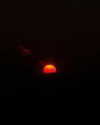 pavuk1_0 Altpins Profile Picture