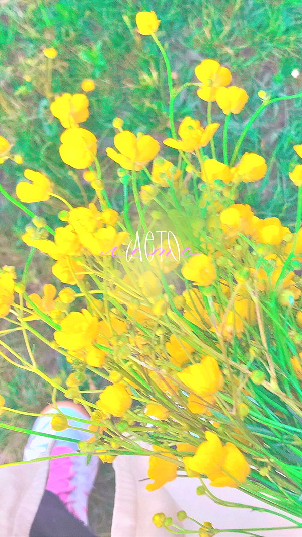 alisen.mari archive image