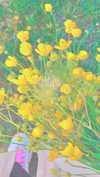 alisen.mari Altpins Profile Picture