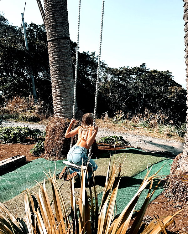 surfsterre instagram image archive image