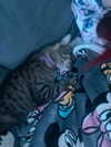 shanidahan7 Altpins Profile Picture
