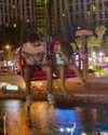 libby_reut Altpins Profile Picture