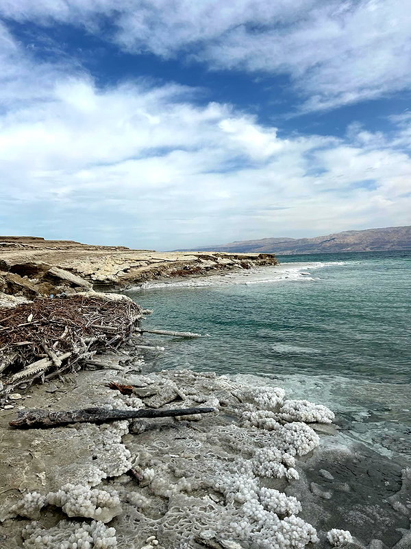 tamar_tsur instagram image archive image
