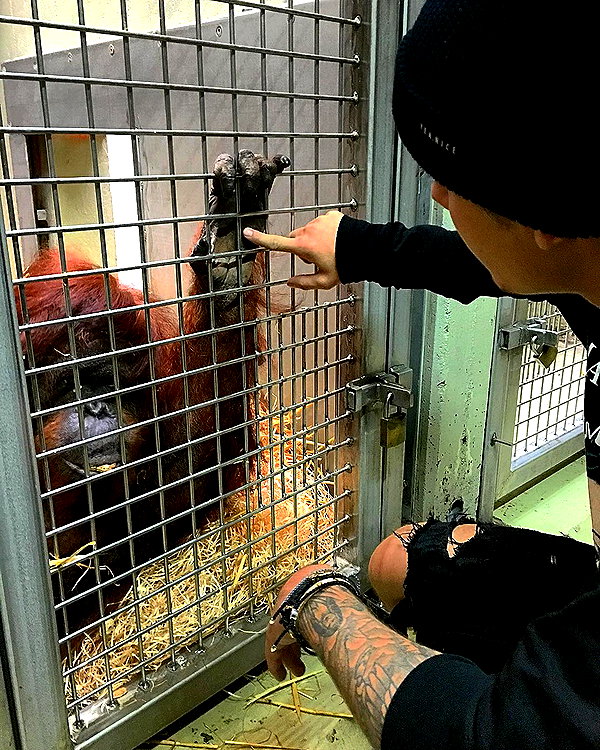 lilbieber instagram image archive image